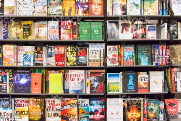 The New Book I’ve written only 2 Chapters so far I can’t afford to pay for editing. Saving up to make&nbsp;payments.