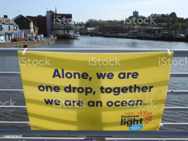 12 Steps for Schizophrenia&nbsp;…