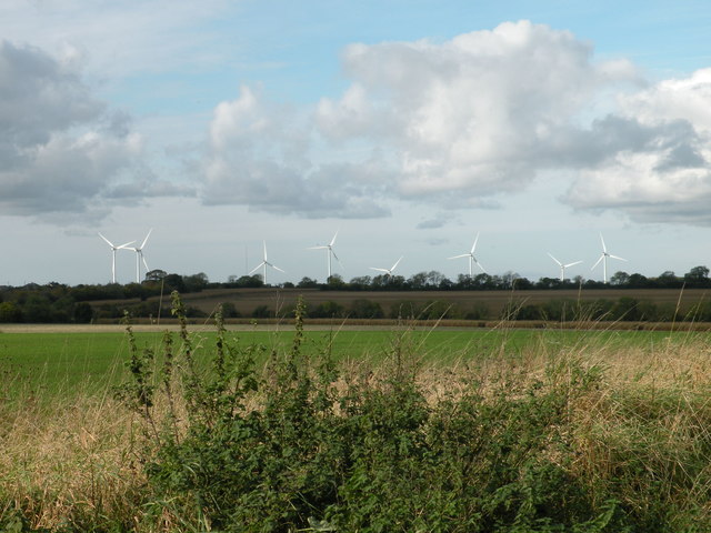 What You Can Never Forgive&nbsp;….