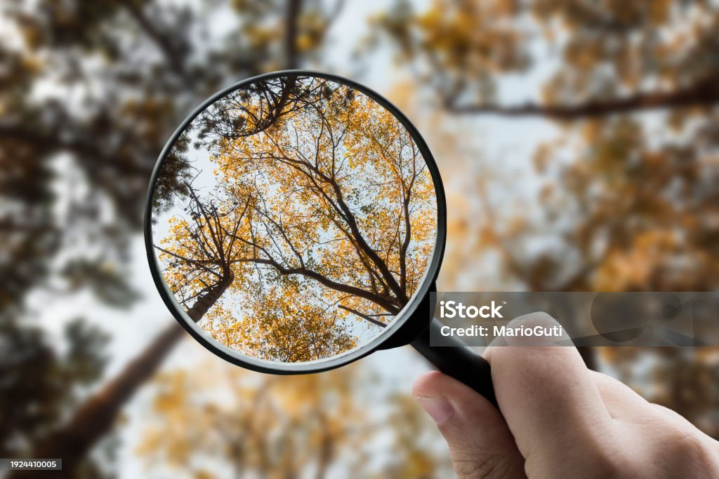 Clarity is the Goal&nbsp;….