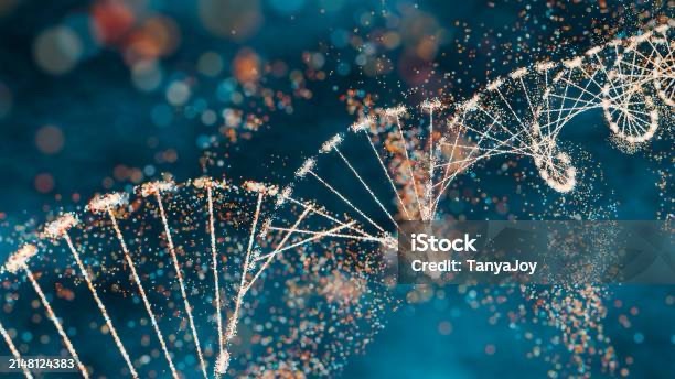 It’s Not a Bad Life&nbsp;….