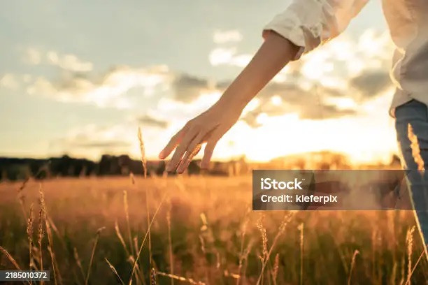 Back in Treatment&nbsp;….