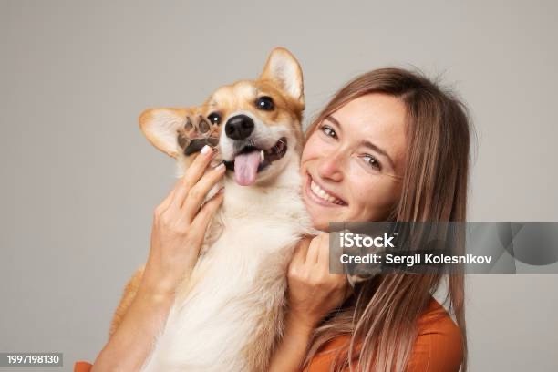 Pets are Great&nbsp;….