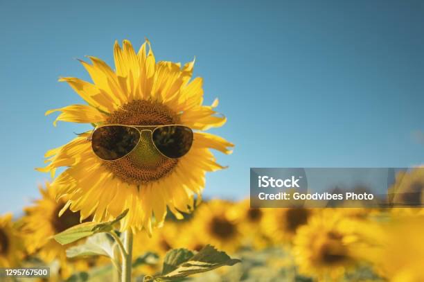 Today is Better ….