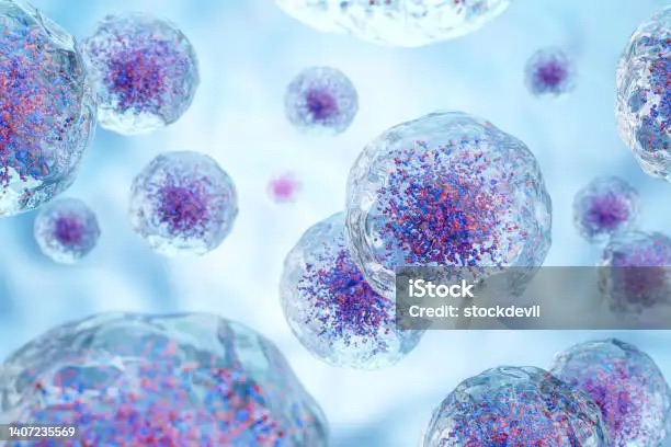 Guest Blogger: Raphael Cuomo&nbsp;….