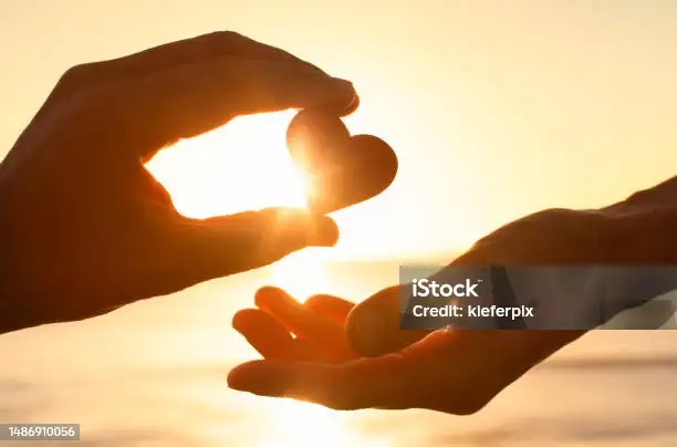 Love is not for&nbsp;….