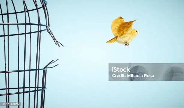 I’m 313 Days Sober ….