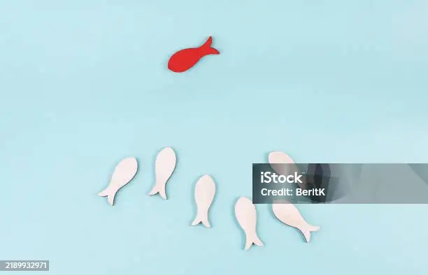 You are always given chances in life&nbsp;…