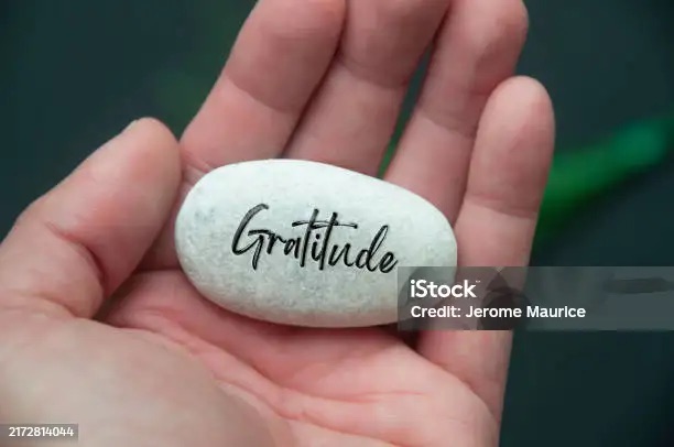 Practice gratitude …